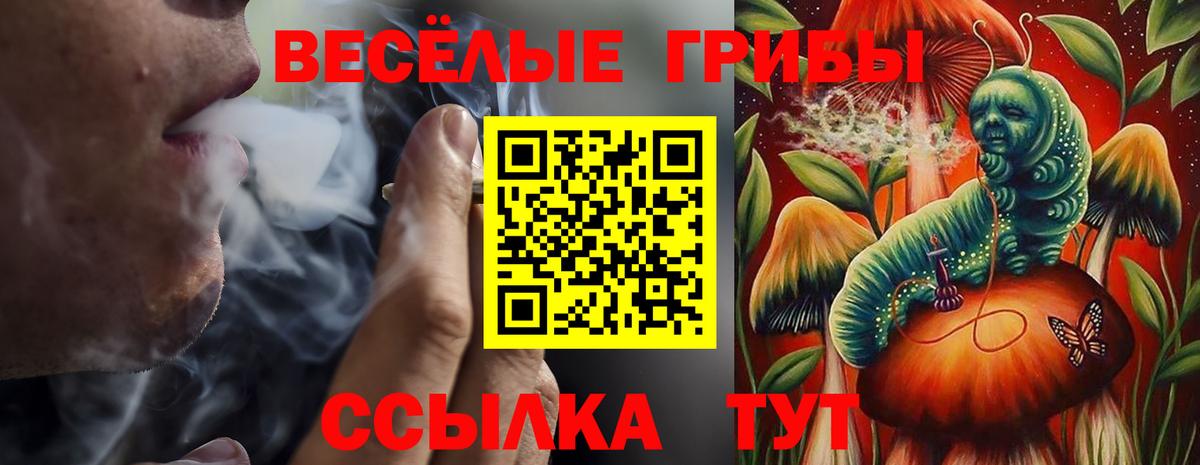 Псилоцибиновые грибы прущие грибы Рязань